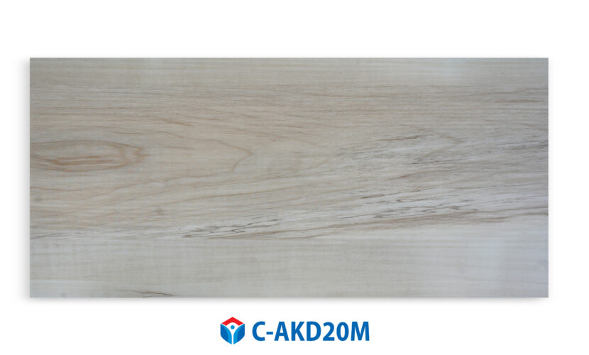 C-AKD20M