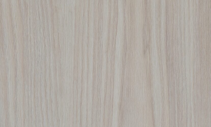 E8019-2