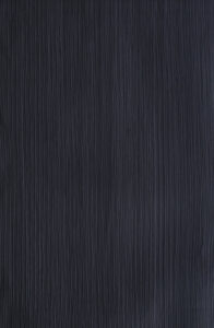 HY09162227-4
